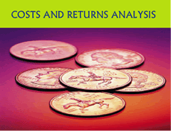 Costs and Returns Analysis