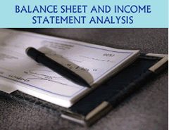 Balance Sheet and Income Statement Analysis