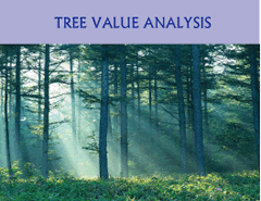 Tree Value Analysis